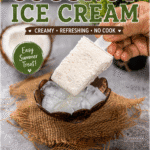 Coconut (nadia) Icecream 2.